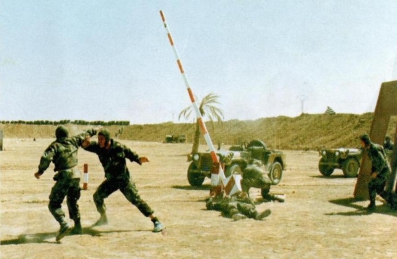 الجيش الجزائري  Zy1011