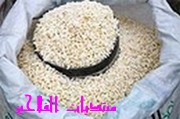 زراعة محصول الارز Rice_210