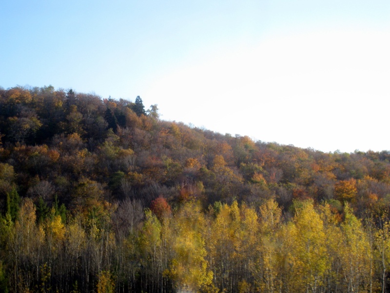 cadeau pour les yeux -couleurs chaudes automne-Canada Img_2015