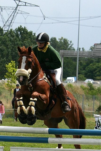 Petite photos d'entrainement 31546110