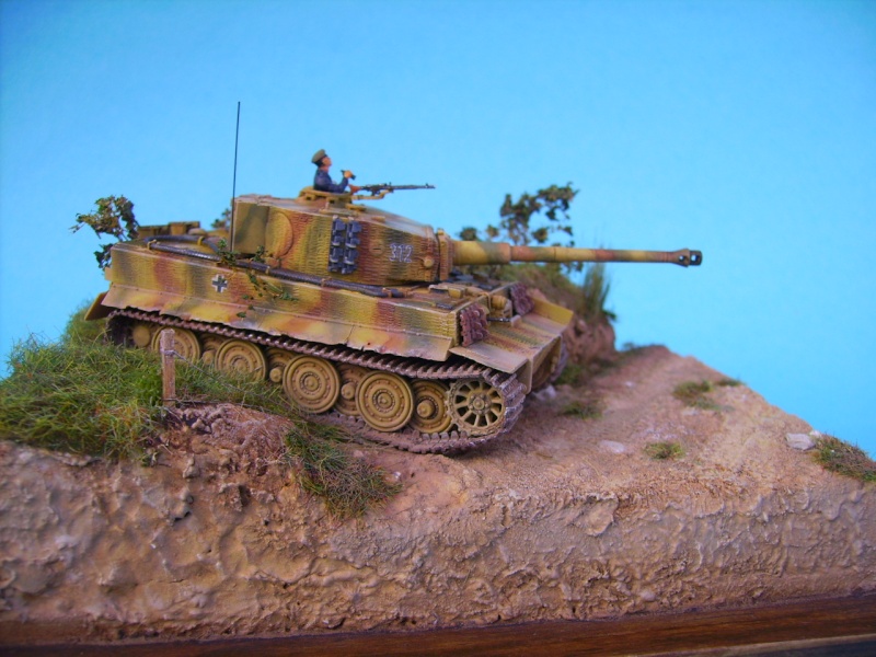 tigre 1E revell 1/72° Pict5112