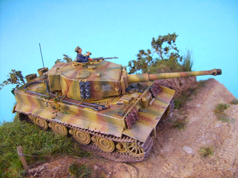 tigre 1E revell 1/72° Pict5113