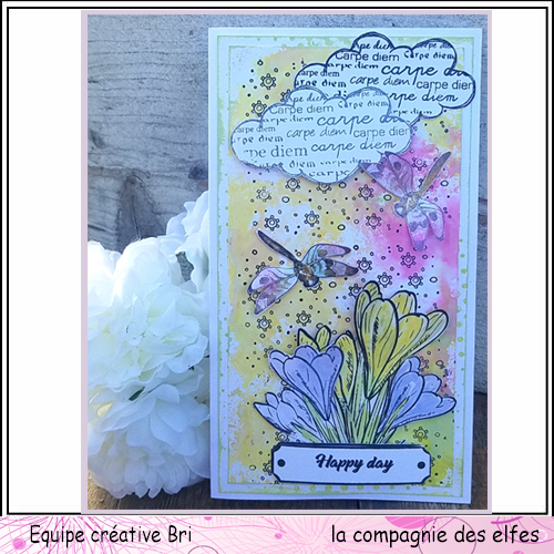 Cartes libellule 3/3 Carte_46