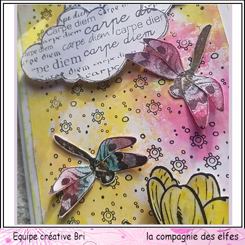 Cartes libellule 3/3 Carte_47