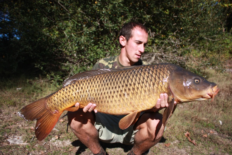 Carp Adventure 2010 Img_1910