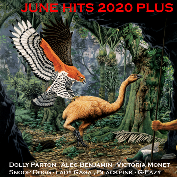 June Hits '20 Plus June_h14