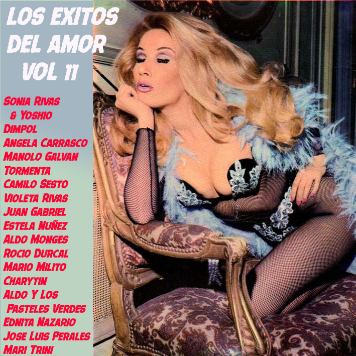 Los Exitos Del Amor Vol 11 (The Hits Of Love Vol 11) (New Version 2018) Los_ex20
