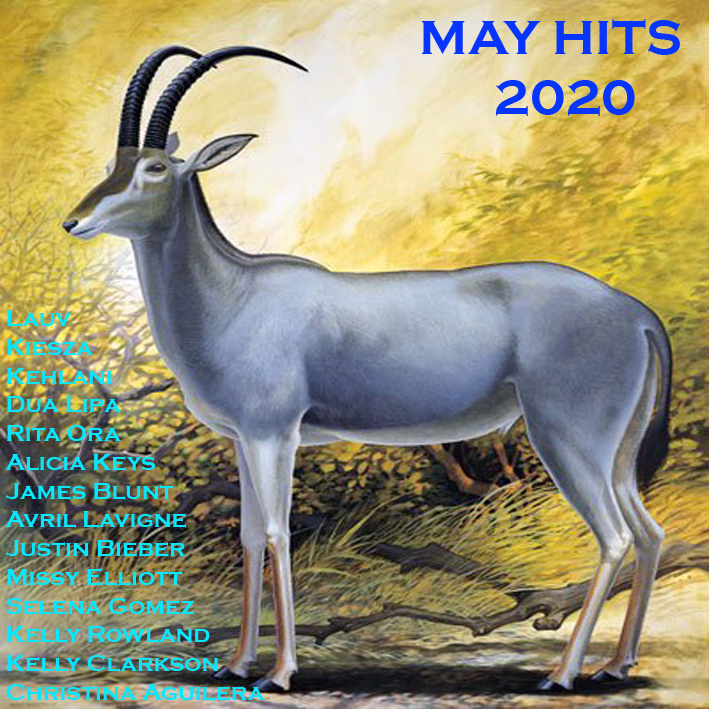 May Hits '20 May_hi12