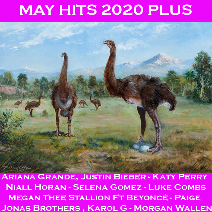 May Hits '20 Plus May_hi13