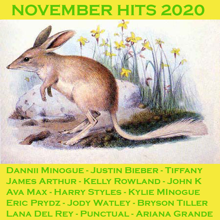 November Hits '20 Novemb14