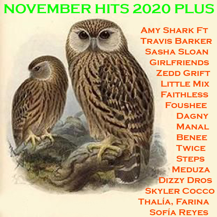 November Hits '20 Plus Novemb15
