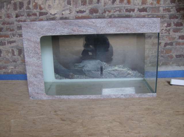 [Vends] aquarium 240 litres (Hainaut BELGIQUE) Hpim1414