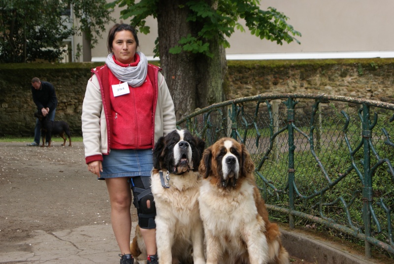 expo libourne 12 mai 2013 Dsc00513