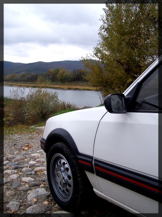 ma 205 gti . - Page 7 101_1118