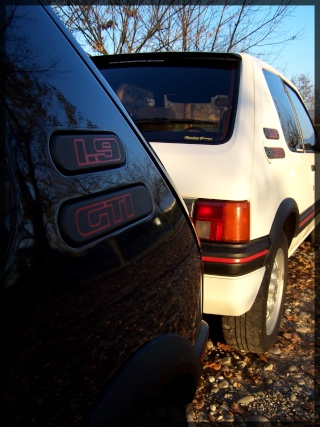 ma 205 gti . - Page 8 101_1141