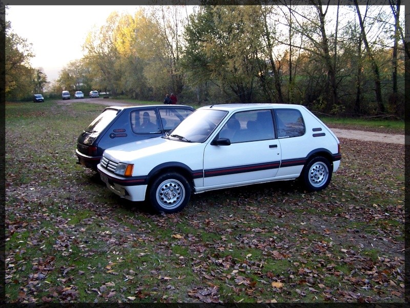 ma 205 gti . - Page 8 101_1142