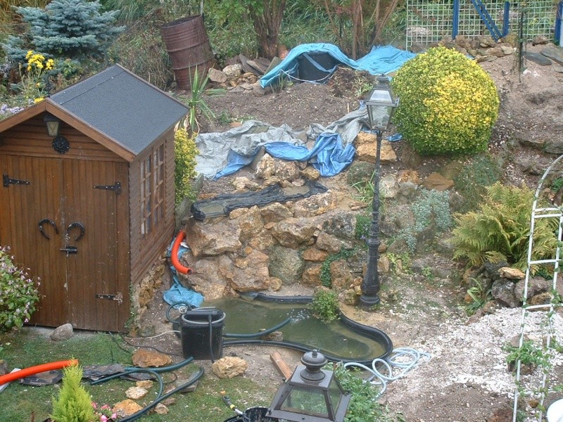 travaux de mon bassin et jardin rocailles Dscf0012
