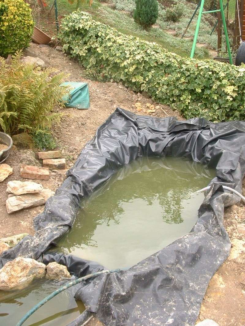 travaux de mon bassin et jardin rocailles Dscf0020