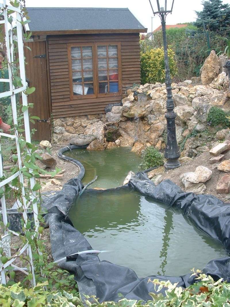 travaux de mon bassin et jardin rocailles Dscf0021