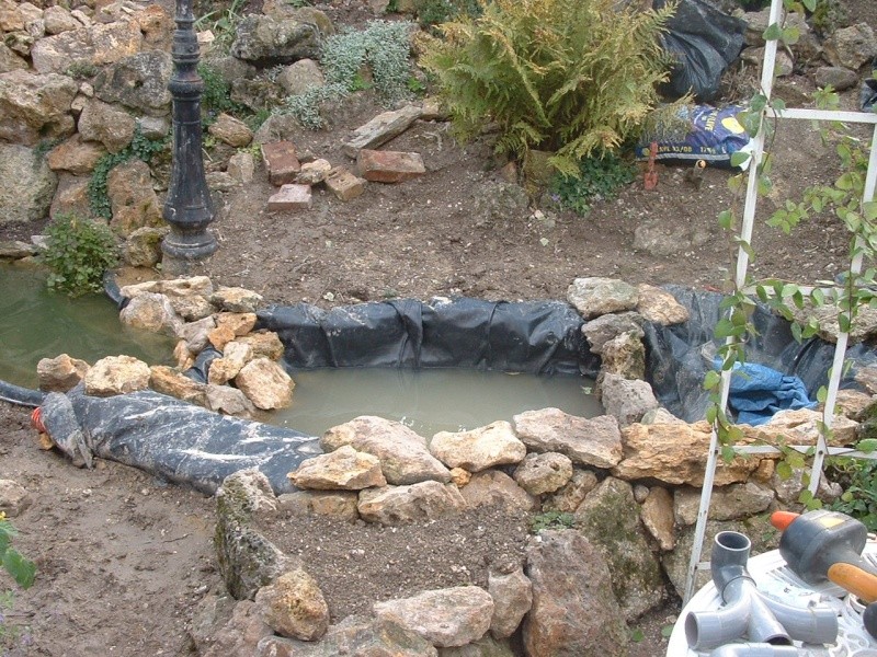 travaux de mon bassin et jardin rocailles Dscf0022