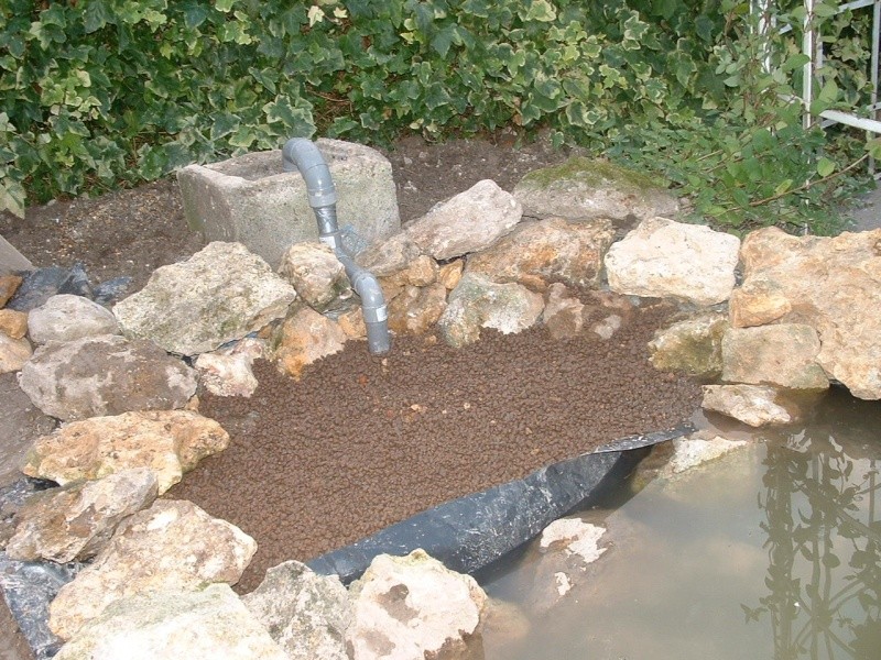 travaux de mon bassin et jardin rocailles Dscf0029