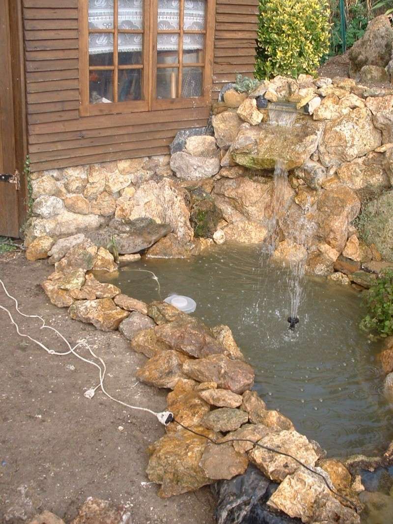 travaux de mon bassin et jardin rocailles Dscf0035