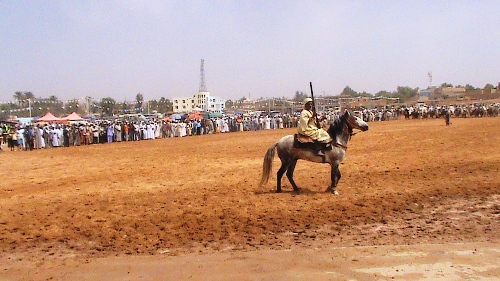 ركب سيدي الشيخ 2009. 310