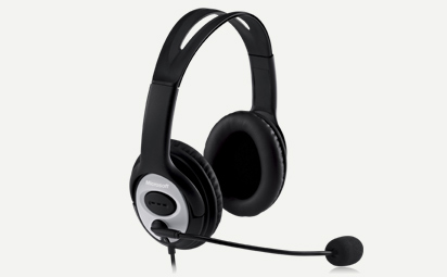 THE CASQUE Ic_pro10