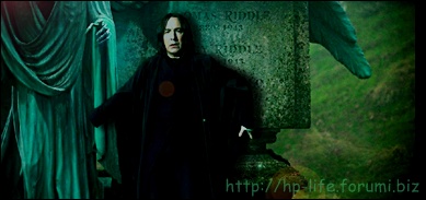 http://harrypotterworld.forumotion.net/index.htm