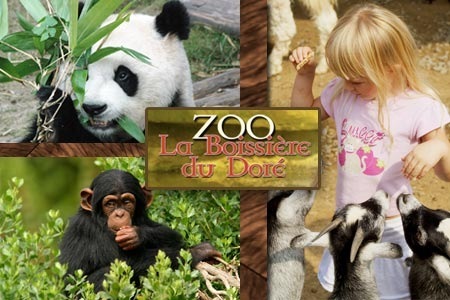 A/019 - France - Zoo de La Boissière-du-Doré - Loire Atlantique - 44 12822310
