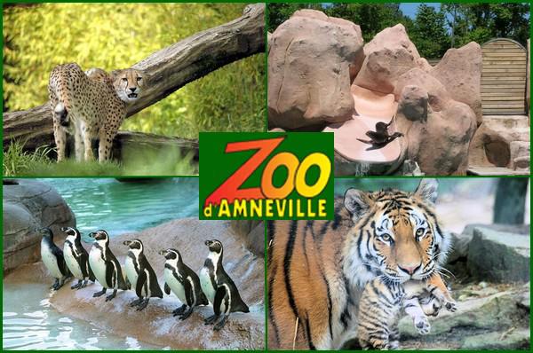 A/024 - France - Zoo Amnéville - Moselle - 57 19527710
