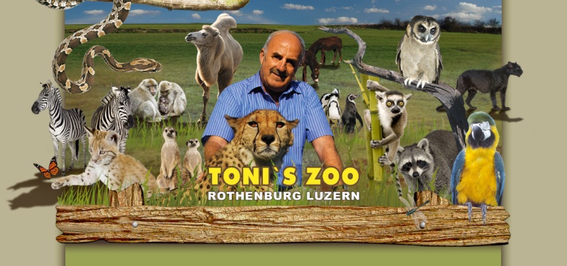 C/007 - Suisse - Zoo de Rothenburg - Rothenburg - 6023 Header10