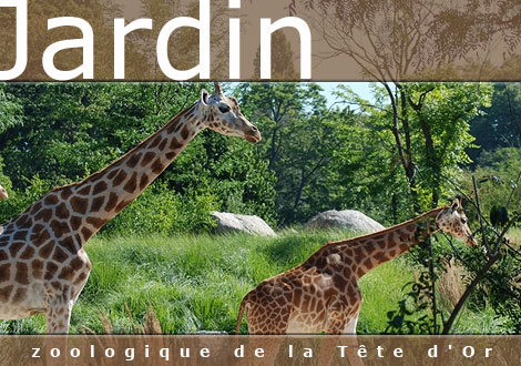 A/031 - France - Zoo de la Tête d’Or (Lyon) - Rhone - 69 Rhone-10