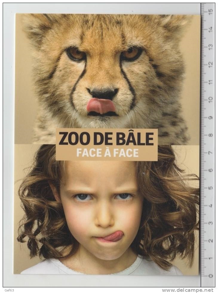 C/002- Suisse - Zoo de Bale - Bale - 4011 Sans-t27