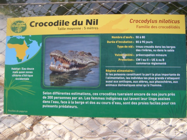 La planète des crocodiles 09_03_10