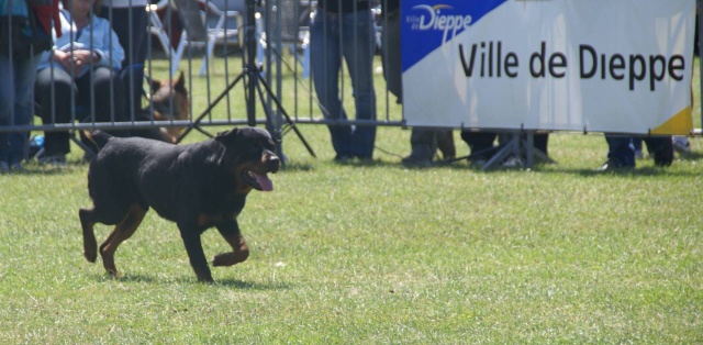 CACS de Dieppe 25 et 26 juillet Rott110