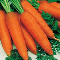 Petua Kecantikan Carrot10