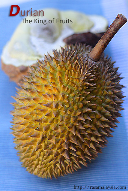 Topik Merapu Durian10