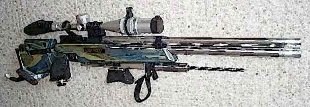 Carabine A.C. 360°