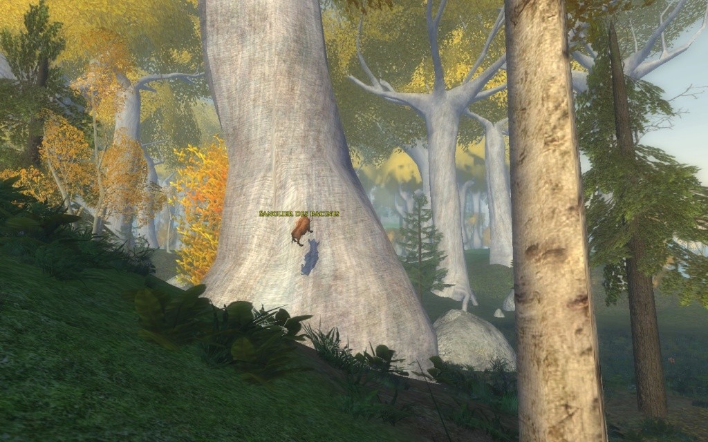 Dans les arbres Screen14
