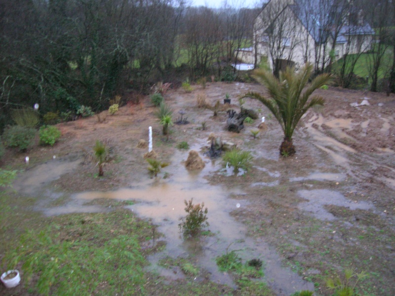 Re jardin dans le finistère Dscn1310