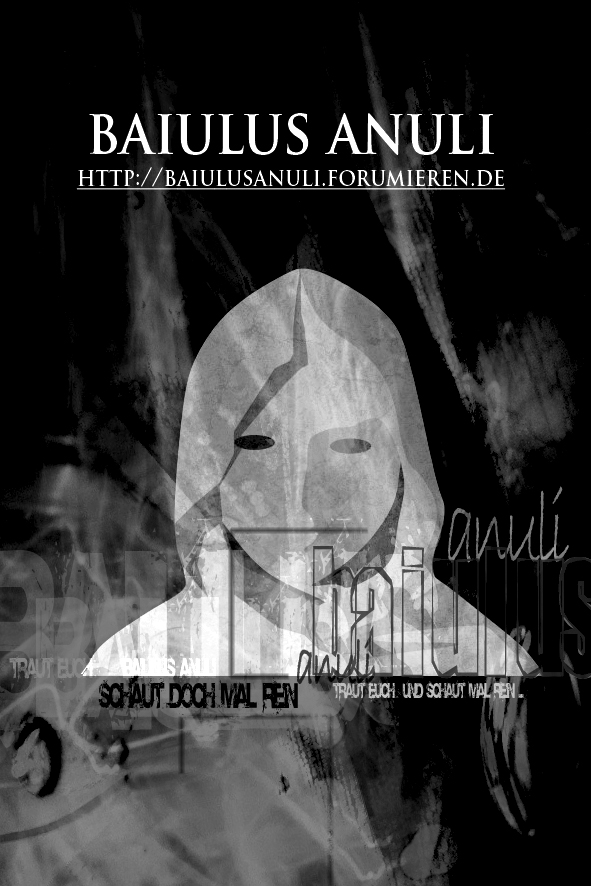 definitiver Flyer? Baiulu10