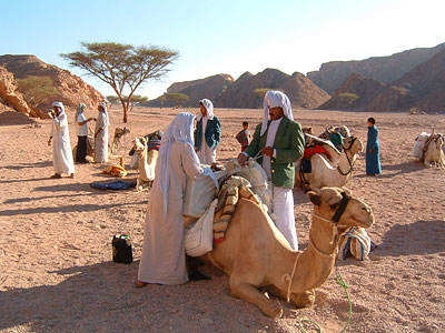 image bedouine Voy_0611