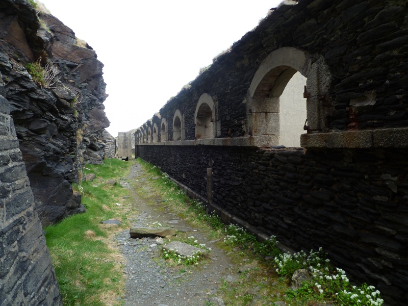 Fort des Capucins ou plutôt du Capucin 1011