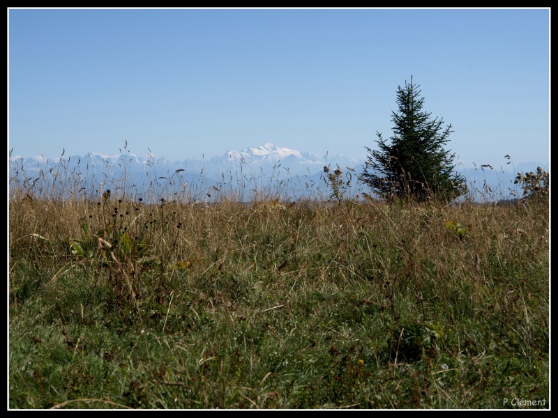 Mont Blanc P8307910