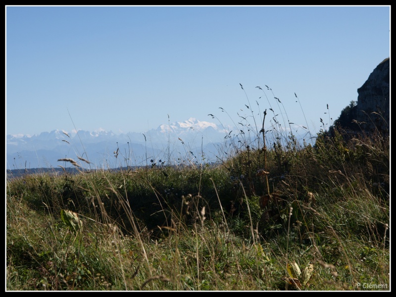Mont Blanc P8307911