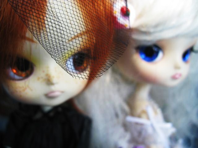 Sance sucr miyuki (MILCH) et Lily (Jolie) Img_2422