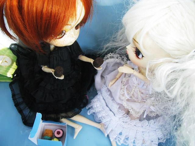 Sance sucr miyuki (MILCH) et Lily (Jolie) Img_2431