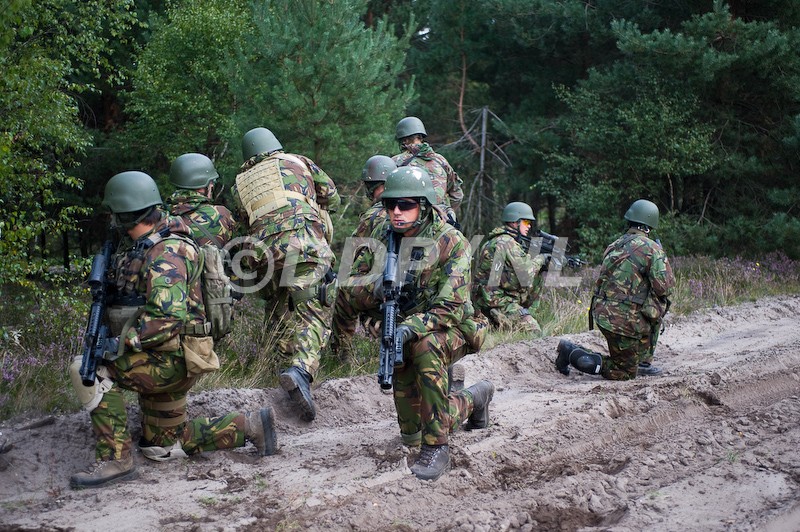 Photos des forces armées Néerlandaises Gvo_0811