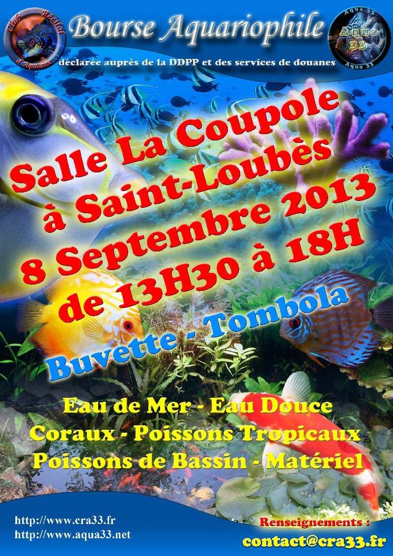 BOURSE DE BORDEAUX (St Loubès) DIMANCHE 08/09/2013 Affich10